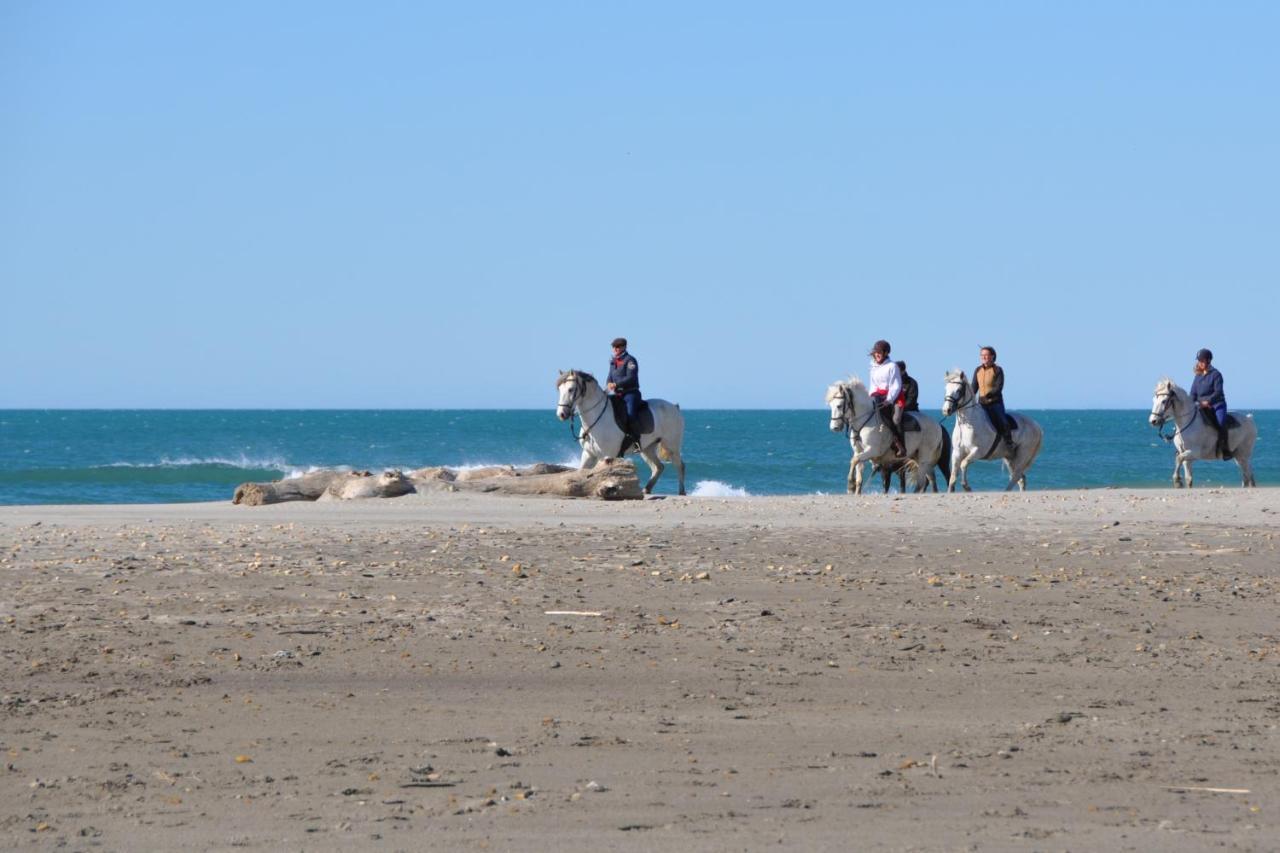 Mas Albert Espelly Saintes-Maries-de-la-Mer Buitenkant foto